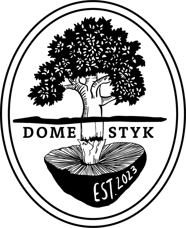 Domestyk logo